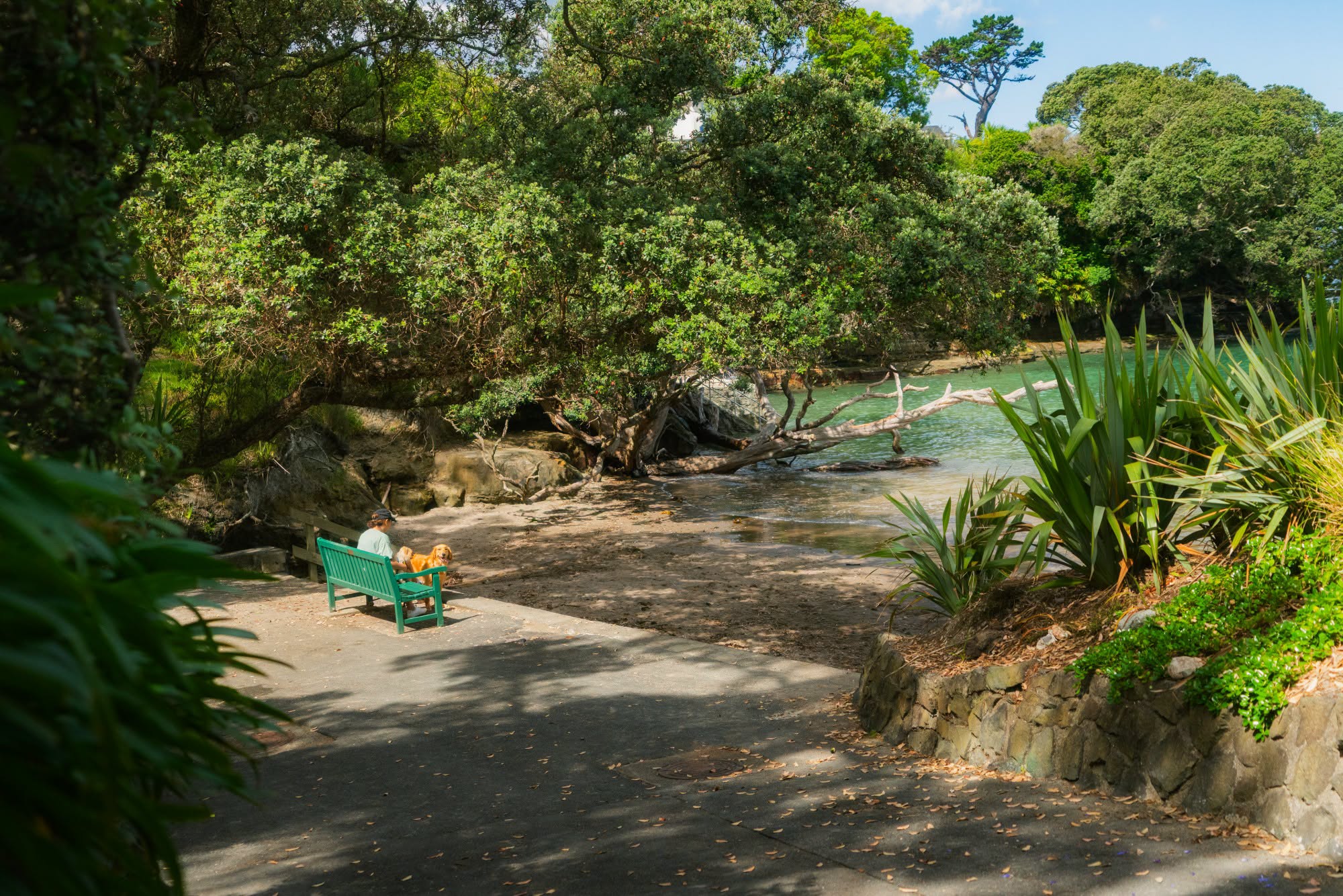 Winstones Cove